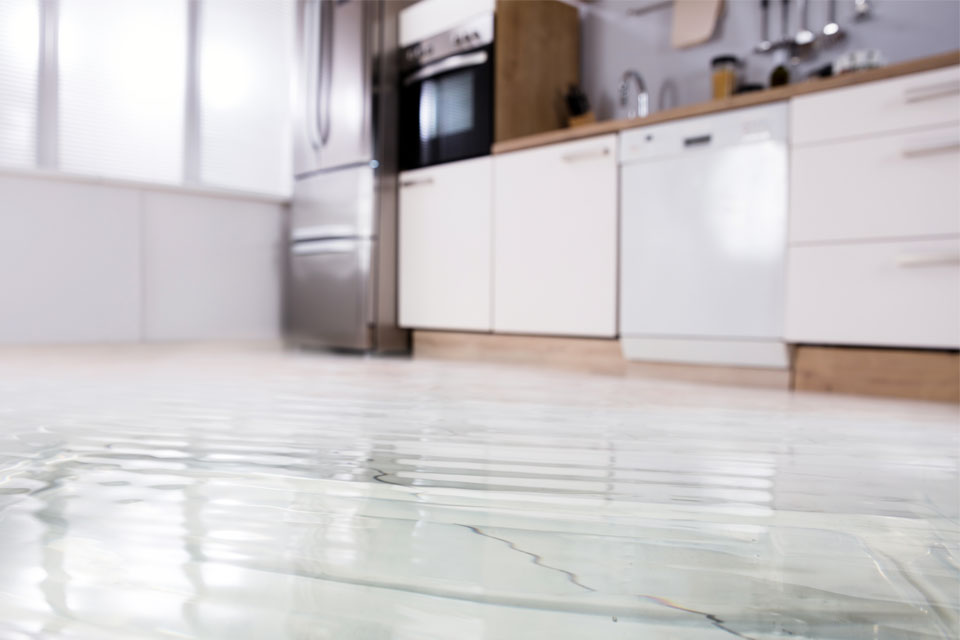 Image of a flooded kitchen