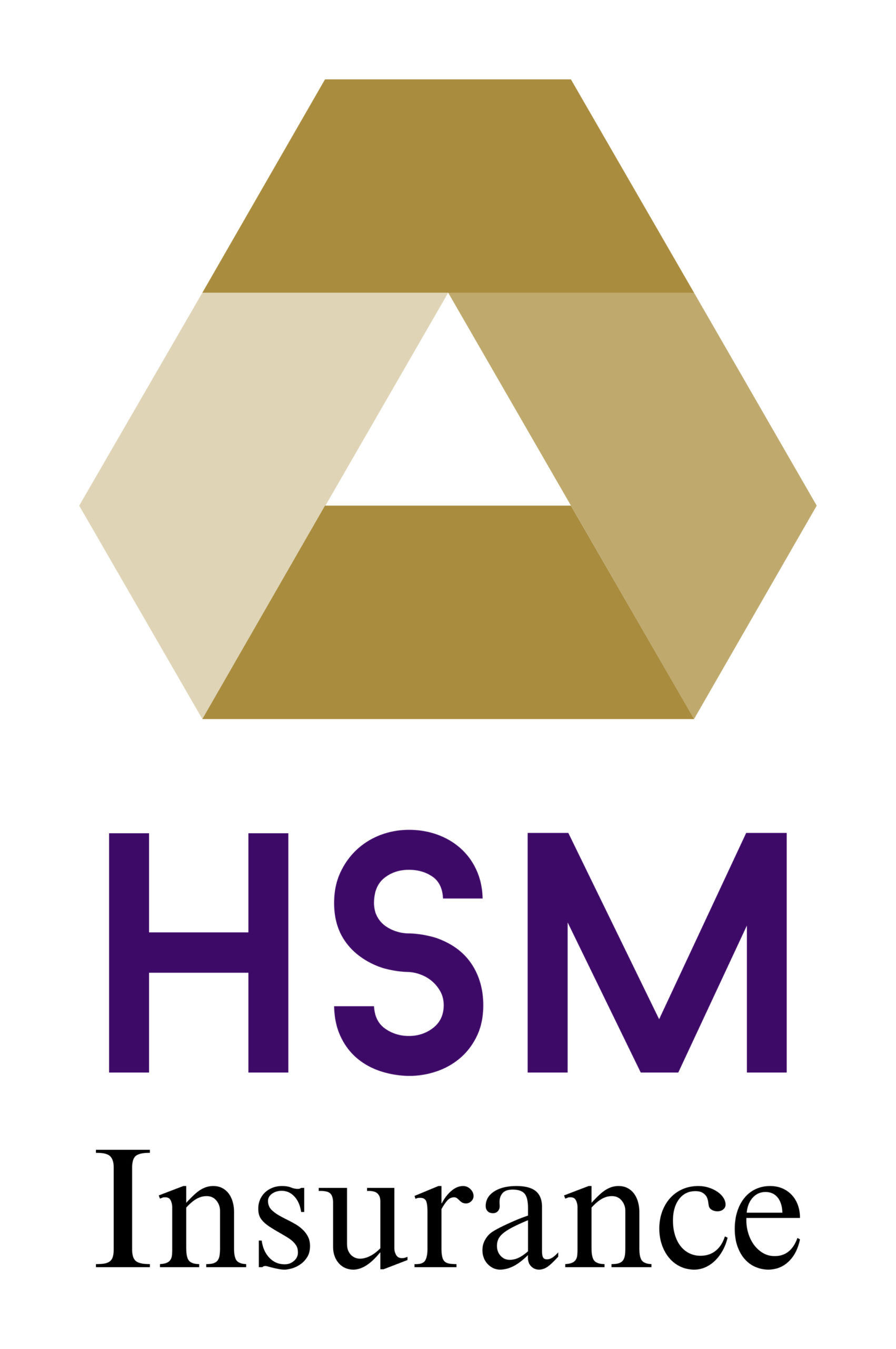 James H. Hamill Associates, Inc. Icon